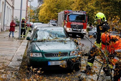 Sturm entwurzelt Baum: Audi auf Straße in Chemnitz geschrottet - Ein Auto hat einen Totalschaden erlitten. Foto: Jan Härtel/ChemPic