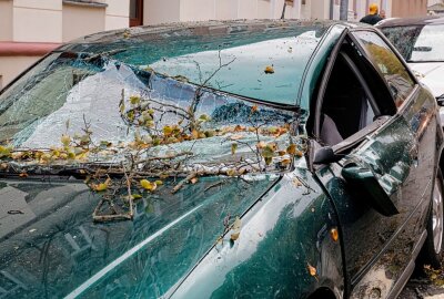 Sturm entwurzelt Baum: Audi auf Straße in Chemnitz geschrottet - Ein Auto hat einen Totalschaden erlitten. Foto: Jan Härtel/ChemPic