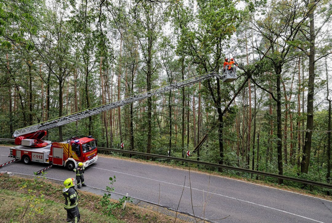 Sturm in Westsachsen: Umgeknickte Bäume sorgen für Straßensperrungen - Sicherheitsmaßnahmen in St. Egidien. Ein Baum drohte auf die Straße zu stürzen. Foto: Andreas Kretschel