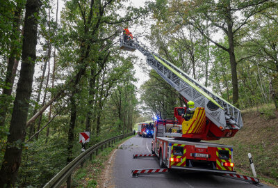 Sturm in Westsachsen: Umgeknickte Bäume sorgen für Straßensperrungen - Sicherheitsmaßnahmen in St. Egidien. Ein Baum drohte auf die Straße zu stürzen. Foto: Andreas Kretschel