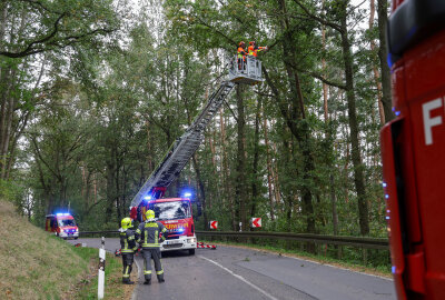 Sturm in Westsachsen: Umgeknickte Bäume sorgen für Straßensperrungen - Sicherheitsmaßnahmen in St. Egidien. Ein Baum drohte auf die Straße zu stürzen. Foto: Andreas Kretschel