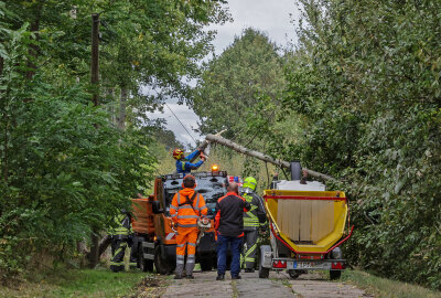 Sturm in Westsachsen: Umgeknickte Bäume sorgen für Straßensperrungen - Auch in Niederlungwitz behinderten umgefallene Bäume den Straßenverkehr. Foto: Andreas Kretschel