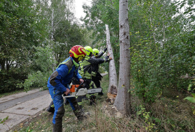 Sturm in Westsachsen: Umgeknickte Bäume sorgen für Straßensperrungen - Auch in Niederlungwitz behinderten umgefallene Bäume den Straßenverkehr. Foto: Andreas Kretschel