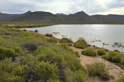 Südafrika: Wilde Natur am Fuße des Tafelbergs... - In diesem Gewässer leben u.a. Nilpferde.