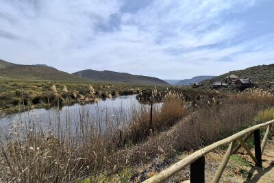 Südafrika: Wilde Natur am Fuße des Tafelbergs... - Safari im Aquila Reservat, zwei Stunden nördlich von Kapstadt. Hier kann mal mehrere Tage genießen. Täglich kann man zwei Safaris im Bus, zu Pferd oder mit dem Quad machen.