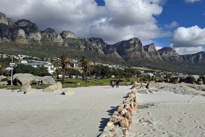 Südafrika: Wilde Natur am Fuße des Tafelbergs... - Die Rückseite des Tafelbergs mit den 12 Aposteln. Der Strand heißt Camps Bay und ist Schauplatz vieler Reicher.