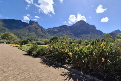 Südafrika: Wilde Natur am Fuße des Tafelbergs... - Der botanische Garten Kirstenbosch ist ein Muss auf jeder Kapstadt-Reise.