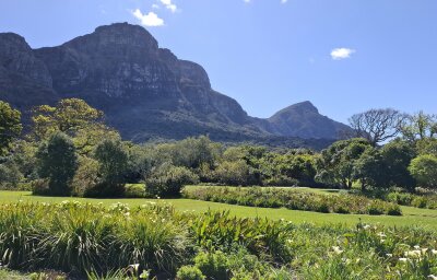 Südafrika: Wilde Natur am Fuße des Tafelbergs... - Der botanische Garten Kirstenbosch ist ein Muss auf jeder Kapstadt-Reise.