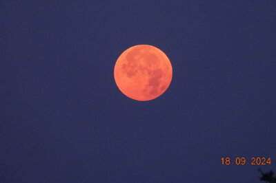 Supermond: Familie aus Mittelsachsen erlebt magischen Moment am Morgenhimmel - Der rötliche Glanz des Supermondes, verursacht durch seine Nähe zur Erde und die Lichtbrechung in der Atmosphäre, machte den Morgen für Familie Pampel zu einem unvergesslichen Erlebnis.