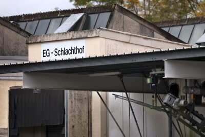 System Schlachthof - Zwischen Personalmangel und Tierschutz - Seit dem Sommer 2023 ist der Schlachthof Aschaffenburg in den Schlagzeilen.