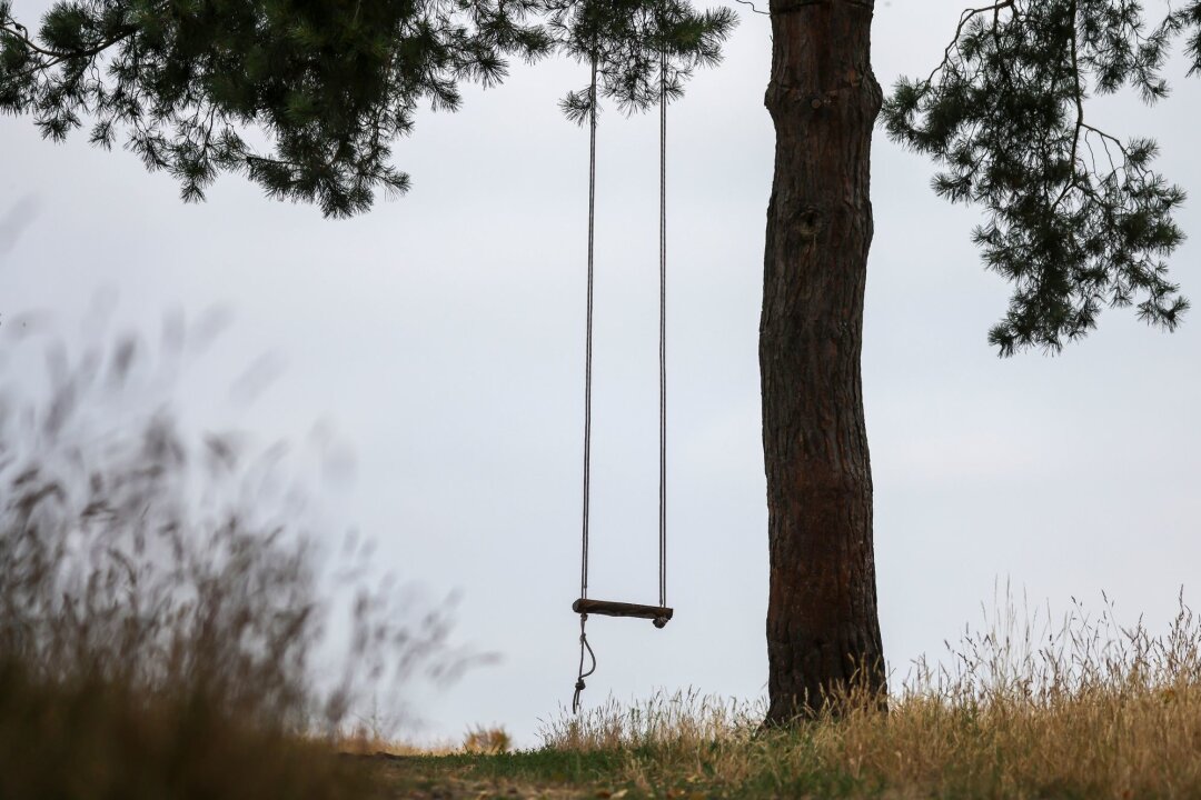 Tag der vermissten Kinder soll informieren und helfen - Eine leere Schaukel hängt an einem Baum.