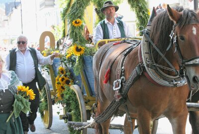 "Tag der Vogtländer" hinterlässt nachhaltige Eindrücke - Die prächtigsten Rösser hatte der 1. Traditionsverein Markneukirchen Berg e.V. angespannt. Foto: Matthias Baumgartl