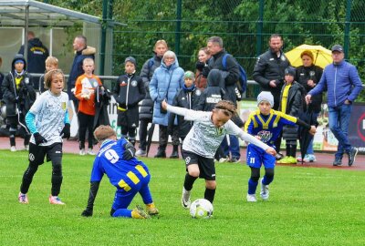 Talente des VFC Plauen gewinnen Gelenauer Dribbelino-Cup - Trotz des regnerischen Wetters freuten sich die Gastgeber auch über viele Zuschauer. Foto: Andreas Bauer