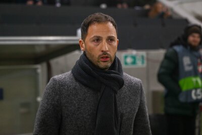 Tedesco vor dem Aus? Kritik in Belgien wächst - Die Kritik an Belgiens Nationaltrainer Domenico Tedesco wächst.