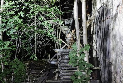 Teile eines Hauses in Chemnitz eingestürzt: Drohnenstaffel im Einsatz - Da nicht auszuschließen war, dass sich Personen im Gebäude befinden, die womöglich verletzt sind, wurde die Ruine durchsucht. Foto: ChemPic