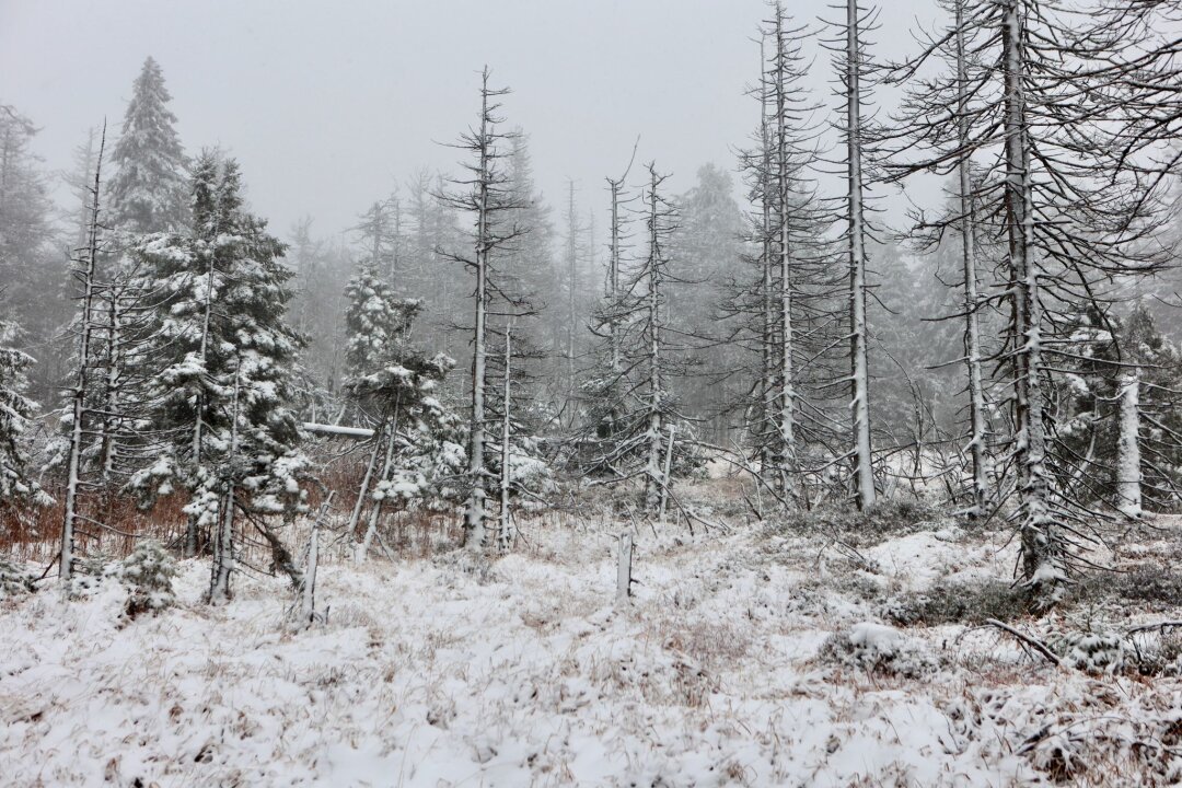 Tief "Quiteria" bringt Sturmböen und Schnee - Auch auf dem Brocken hat es geschneit. (Foto Aktuell vom 17.11.)