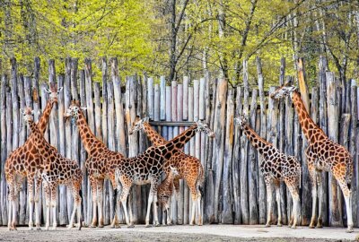 Tierärztin Dr. Mertens praktiziert wieder und das mit Erfolg - Die Serie "Tierärztin Dr. Mertens" ist zurück. Foto: Maik Bohn