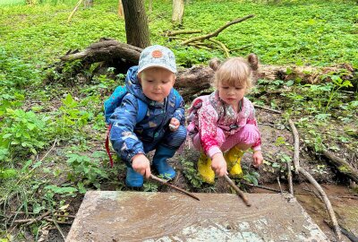 Tiere, Ausflüge und vieles mehr: Erlebnisreiche Zeit für Garnsdorfer Kitakinder - Regelmäßige Ausflüge in die nähere Umgebung der Kinder gehören zum Konzept. So geht es auch öfters in den nahe gelegenen Wald auf Entdeckertour. Foto: Kita Wichtelburg