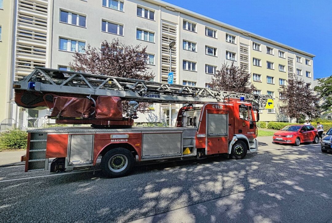 Tierische Rettungsaktion in Chemnitz: Katze wird aus Wohnung gerettet - Die Feuerwehr rettet die Katze aus der Wohnung. Foto: Harry Härtel