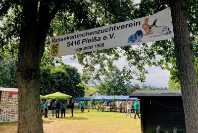 Tierische Schau am 27. und 28. Juli in Pleißa - Der Rassekaninchenzuchtverein S416 Pleißa lädt am 27. und 28. Juli zu seiner traditionellen Tierschau ein. Foto: Steffi Hofmann