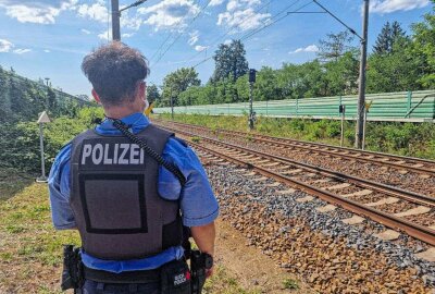 Tierischer Einsatz: Entlaufenes Schaf legt Bahnverkehr lahm - In Lauta versuchten Rettungskräfte ein entlaufenes Schaf einzufangen. Foto: xcitepress