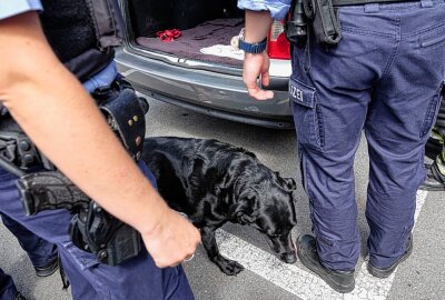 Tierischer Notfall in Chemnitz: Hund bei Hitze allein im Auto entdeckt - Ein Hund wurde aus einem warmen Auto gerettet. Foto: Jan Härtel