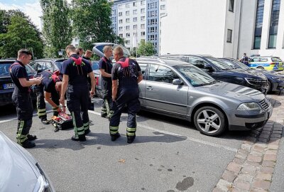 Tierischer Notfall in Chemnitz: Hund bei Hitze allein im Auto entdeckt - Ein Hund wurde aus einem warmen Auto gerettet. Foto: Jan Härtel