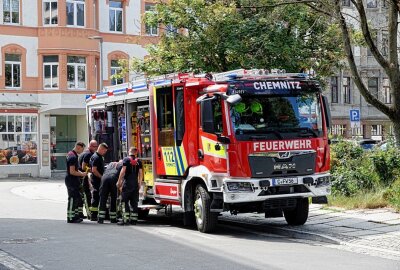 Tierischer Notfall in Chemnitz: Hund bei Hitze allein im Auto entdeckt - Ein Hund wurde aus einem warmen Auto gerettet. Foto: Jan Härtel