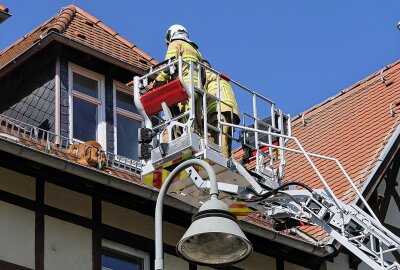 Tierischer Rettungseinsatz in Grimma: Vierbeiner jagt Taube und landet auf dem Dach - Feuerwehr mit Drehleiter im Einsatz: Hund gerettet. Foto: Sören Müller