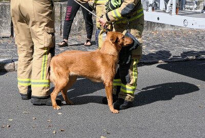 Tierischer Rettungseinsatz in Grimma: Vierbeiner jagt Taube und landet auf dem Dach - Hund sicher zu Frauchen zurückgebracht. Foto: Sören Müller