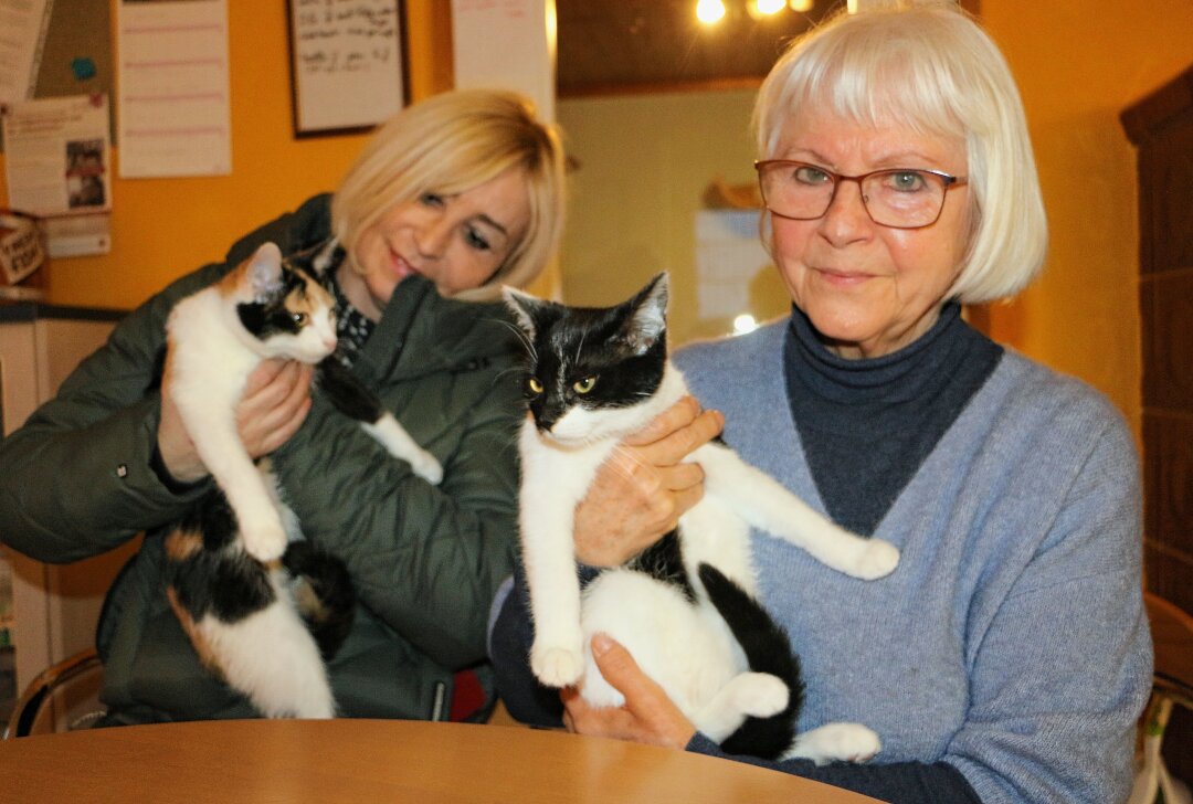 Tierschützer im Vogtland schlagen Alarm: Kastrationspflicht gefordert - Antje Haubold und Christine Krause mit zwei Samtpfötchen. Foto: Simone Zeh