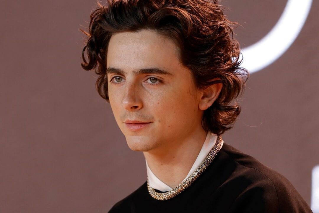 Timothée Chalamet crasht eigenen Doppelgänger-Wettbewerb - Um keinen Spaß verlegen: Timothée Chalamet mischte sich unter die Teilnehmer eines Wettbewerbs, bei dem die besten Doppelgänger des Hollywoodstars gefunden werden sollten.