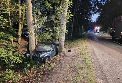 Tödlicher Unfall in Zwickau: Fahrer stirbt nach Kollision mit Baum - Am Dienstag kommt es zu einem tödlichen Unfall in Zwickau. Foto: Mike Müller