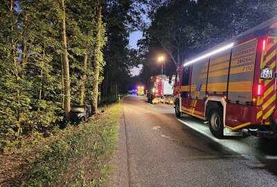 Tödlicher Unfall in Zwickau: Fahrer stirbt nach Kollision mit Baum - Ein 27-Jähriger kollidiert mit einem Baum. Foto: Mike Müller