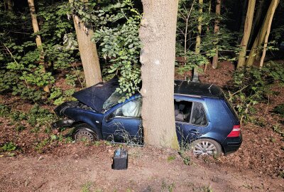 Tödlicher Unfall in Zwickau: Fahrer stirbt nach Kollision mit Baum - Am Dienstag kommt es zu einem tödlichen Unfall in Zwickau. Foto: Mike Müller