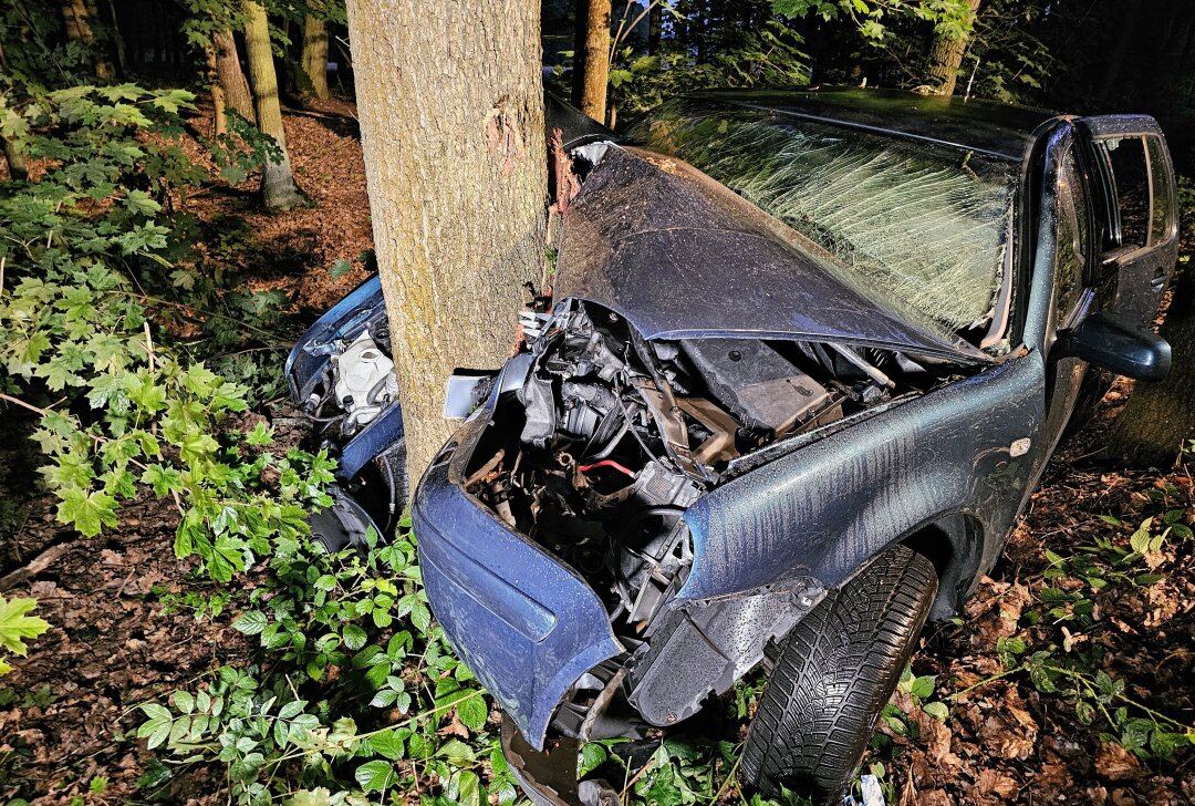 Tödlicher Unfall in Zwickau: Fahrer stirbt nach Kollision mit Baum - Am Dienstag kommt es zu einem tödlichen Unfall in Zwickau. Foto: Mike Müller