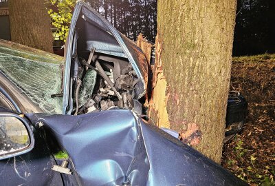 Tödlicher Unfall in Zwickau: Fahrer stirbt nach Kollision mit Baum - Am Dienstag kommt es zu einem tödlichen Unfall in Zwickau. Foto: Mike Müller