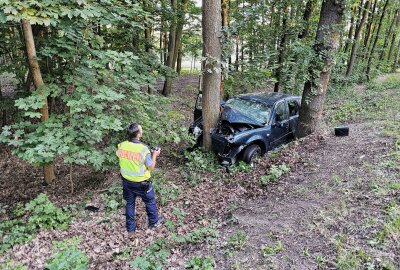 Tödlicher Unfall in Zwickau: Fahrer stirbt nach Kollision mit Baum - Am Dienstag kommt es zu einem tödlichen Unfall in Zwickau. Foto: Mike Müller