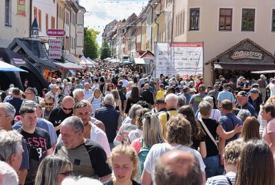 Traditionelle Bergparade zum Stadtfest in Freiberg - Die Bergparade hat das Publikum am Sonntagmittag hundertfach auf die Gassen gebracht. Foto: Christof Heyden