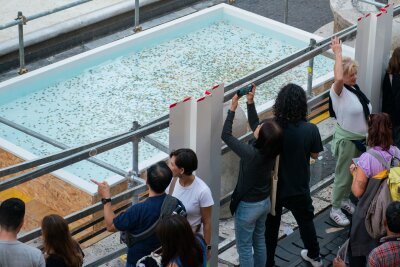 Trevi-Brunnen leergepumpt und Becken für Münzwurf aufgebaut - Wenige Stunden nach dem Aufbau des Pools lagen bereits zahlreiche Münzen im Wasser.