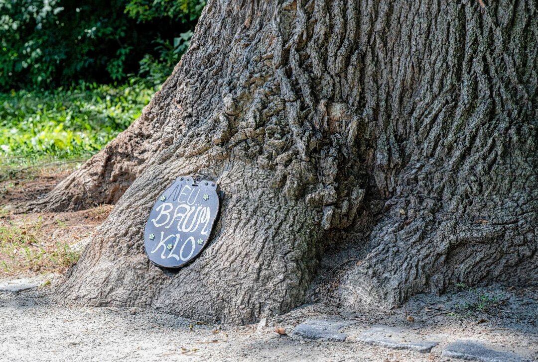 Überraschung in Zittau: Mini-Baum-WC lockt Besucher an - In Zittau werden Spaziergänger von einer Miniatur-Toilette in einem Baum überrascht. Foto: xcitepress