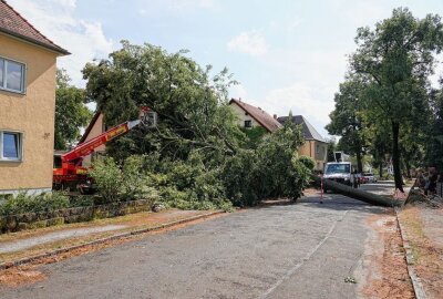 Unwetter in Dresden sorgt für enorme Schäden - Am Mittwoch sorgte ein lokales Unwetter für einige Schäden. Foto: Rohland Halkasch