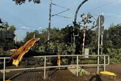 Unwetter in Sachsen: Schäden durch Hagel und Sturm - War ein Tornado dabei? - Am Dienstagabend zog ein schweres Unwetter über Gröditz im Landkreis Meißen hinweg und hinterließ eine Schneise der Verwüstung. Foto: xcitepress/rico loeb