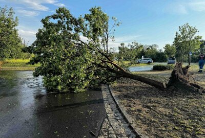 Unwetter in Sachsen: Schäden durch Hagel und Sturm - War ein Tornado dabei? - Am Dienstagabend zog ein schweres Unwetter über Gröditz im Landkreis Meißen hinweg und hinterließ eine Schneise der Verwüstung. Foto: xcitepress/rico loeb