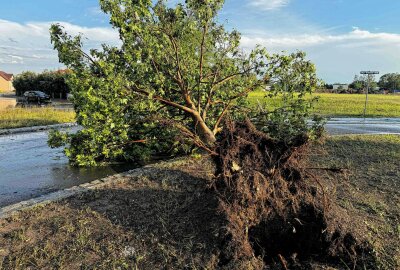 Unwetter in Sachsen: Schäden durch Hagel und Sturm - War ein Tornado dabei? - Am Dienstagabend zog ein schweres Unwetter über Gröditz im Landkreis Meißen hinweg und hinterließ eine Schneise der Verwüstung. Foto: xcitepress/rico loeb