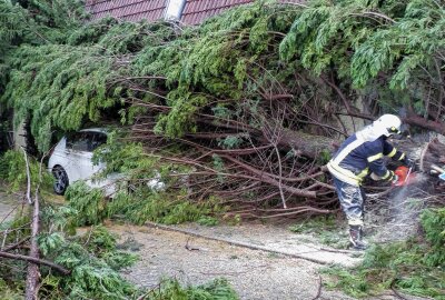 Unwetter in Sachsen: Schäden durch Hagel und Sturm - War ein Tornado dabei? - Eine sogenannte Superzelle sorgte für schwere Verwüstungen in Gröditz. Foto: Bernd März