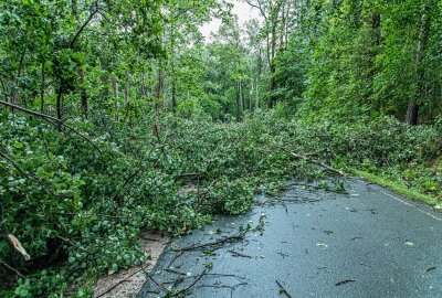 Unwetter in Sachsen: Sturmschäden durch umgestürzte Bäume im Vogtland - Am Samstagnachmittag kommt es zu Sturmschäden auf der K 7123 bei Unterheinsdorf. Foto: André März