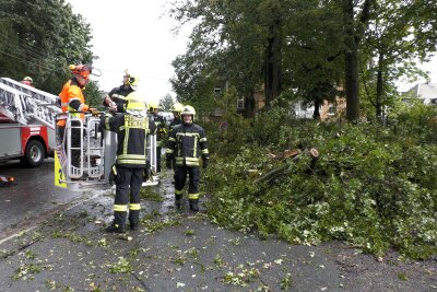 Unwetter über Chemnitz: Gewitter zieht über die Stadt - Ein großer Baum stürzte direkt am Feuerwehrdepot von Chemnitz-Stelzendorf auf die Fahrbahn.