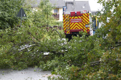 Unwetter über Chemnitz: Gewitter zieht über die Stadt - Ein großer Baum stürzte direkt am Feuerwehrdepot von Chemnitz-Stelzendorf auf die Fahrbahn.