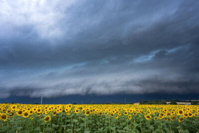 Unwetterwarnung für Meerane: Superzelle mit Hagel zieht über die Stadt - Die Gewitter zogen aus Südwesten auf und brachten Sturmböen mit Geschwindigkeiten um 70 km/h (20 m/s, 38 kn, Bft 8) mit sich.